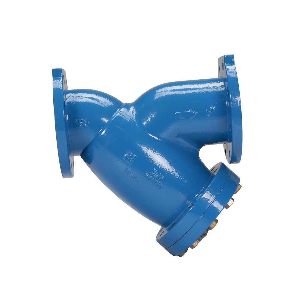 6 - FSC6" Ductile Iron Wye Type StrainerZurn