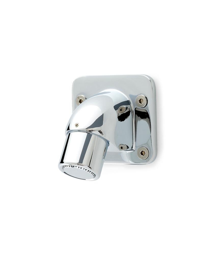 Z7000 - I2Temp - Gard® Standard Institutiol Wall - Mounted Fixed Spray Shower Head in ChromeZurn